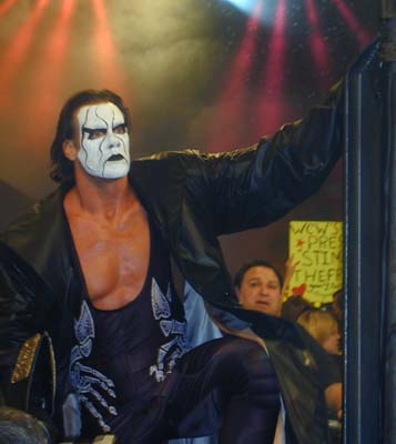 sting.jpg (20979 bytes)